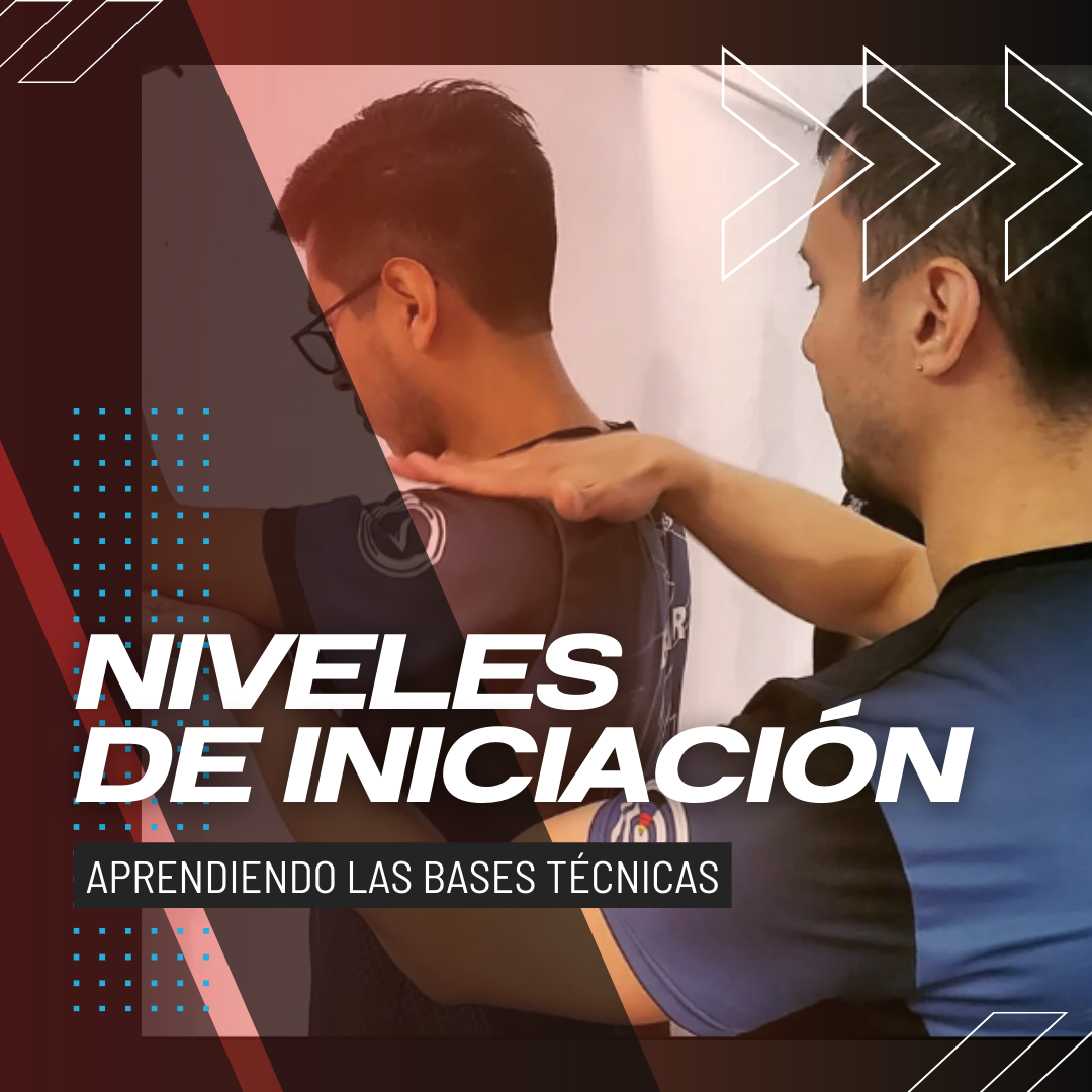 niveles de iniciacion